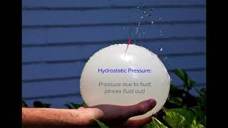 50 Introduction to oncotic pressure and hydrostatic pressure [upl. by Annawd]