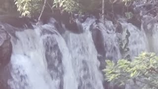 Río Apatlaco de cuernavaca Morelos México 🇲🇽 [upl. by Latham]