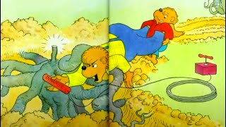 The Berenstain Bears That Stump Must Go Stan Berenstain [upl. by Aileme]