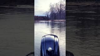 Manistee River Steelhead Fishing fishing steelhead walleye laketrout perch bassfishing [upl. by Irfan]