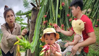 Mystery Who is watching my family Proper preservation of winddried dragon fruit [upl. by Ahtivak]