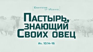 Проповедь quotЕв от Иоанна 58 Пастырь знающий Своих овецquot Алексей Коломийцев [upl. by Alokin677]