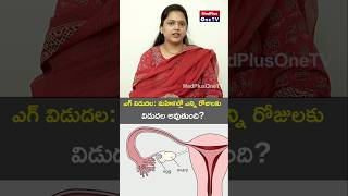 Egg Release Timing and Irregularities l Dr V Hemalatha Reddy shorts MedPlusONETV [upl. by Nellek]