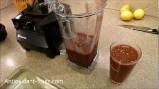 Berry Smoothie Recipe in Vitamix  Navitas Naturals Smoothie Recipe  Antioxidantfruits [upl. by Crowell]