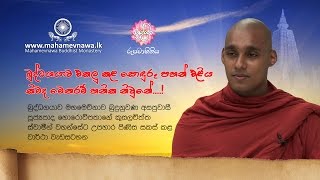 කිමද මෙතරම් හනික නිව්නේ  Shraddha TV [upl. by Juster427]