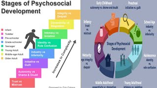 Erik Eriksons Stages of Psychosocial Development [upl. by Nnaoj276]