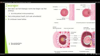 Klas 4 VWO Thema 2 Voortplanting amp seksualiteit basisstof 4 Zwanger deel 1 [upl. by Wolfram]