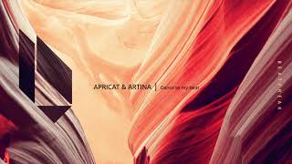 DFormation APRICAT amp ARTINA  Dance to my beat Beatfreak Recordings [upl. by Irbua]