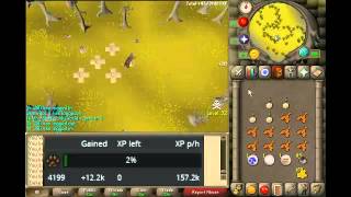 RS07 Zieke Geeest  Black Chinchompa Hunting Guide6 Traps 160K ExpHour [upl. by Natsuj750]