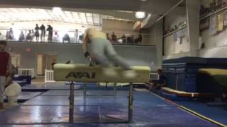 Learning the Wu Guonian on pommel horse [upl. by Knick]