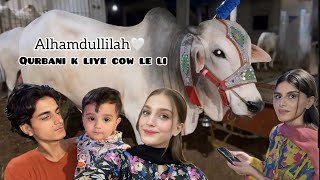 Alhamdullilah Qurbani Ke Liye Cow Le Li🐮🤍  Zolish vlog [upl. by Dermot]