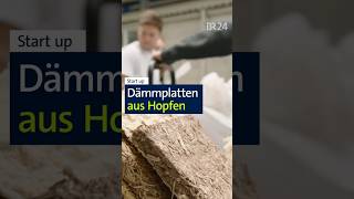 Hopfen Startup short hopfen landwirtschaft [upl. by Eisnyl]