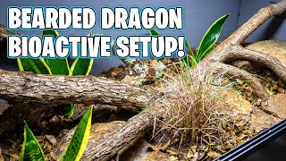 Bioactive Bearded Dragon Setup [upl. by Novihs]