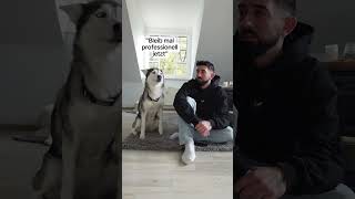 YouTube könnt ihr Shorts auf 90 Sek machen Wäre cool  Danke husky [upl. by Iliam453]