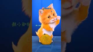 Cute Cats Stylesdodi dodi dum dumcatlovercutecatviral [upl. by Aliban]