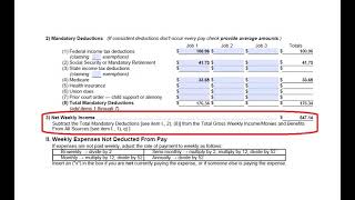 Self Represented Parties Information Series Filling Out and Filing a Financial Affidavit Short Form [upl. by Alliuqahs173]