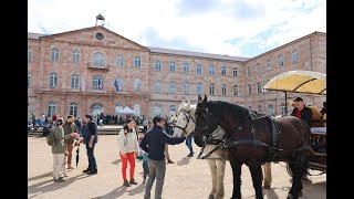 Ferme à la Ville 2024 à Caluire et Cuire [upl. by Skipper]