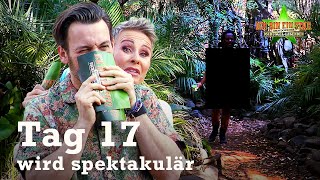 Das große FINALE 👑 AUSBLICK auf Tag 17 bei IBES 🤯🤩  LegendenDschungelcamp [upl. by Keldon185]