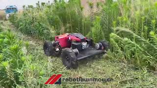 remote control 4WD mowing tall grass [upl. by Trevar]