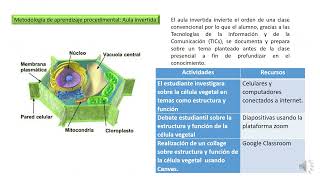 1 Modelo TPACK [upl. by Iram989]