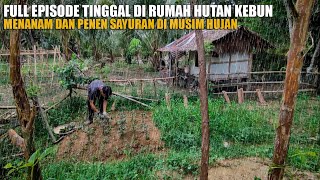 FULL EPISODE TINGGAL DI RUMAH HUTAN KEBUN BERTANI MENANAM DAN PANEN SAYURAN DI MUSIM HUJAN EP 93 [upl. by Eatnom]