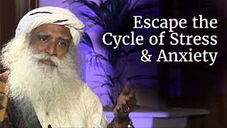 How to Escape the Cycle of Stress Anxiety and Misery  Sadhguru [upl. by Solly]