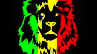 Alborosie  Kingston Town Sylobin Drum and Bass Remix [upl. by Chenee245]