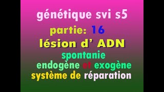 genetique svi partie 16 lésion ADN spontanie exogène et endogènes  شرح دارجة [upl. by Eenel]