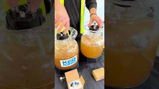 How to make alcoholic ginger beer [upl. by Teahan]