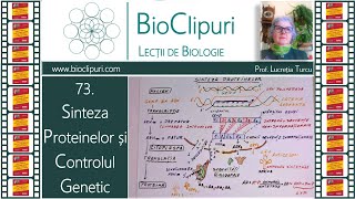 73 Sinteza proteinelor si controlul genetic Barrons [upl. by Hurlow840]