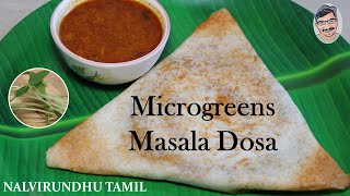 Microgreens Recipe in Tamil  How to make Microgreens Masala Dosa at home  Microgreens Recipe 2 [upl. by Airdnat138]