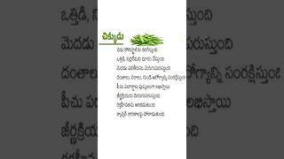 చిక్కుడు కాయలు ఆరోగ్య ప్రయోజనాలు  Broad Beans Health Benefits in Telugu [upl. by Pacifica]