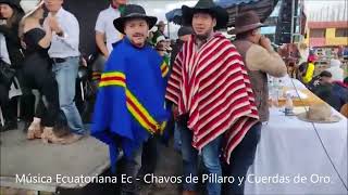 Chavos de Píllaro y sus Cuerdas de Oro Mix [upl. by Alya]