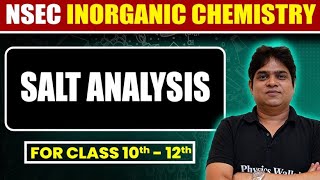 Salt Analysis in One Shot 🔥  Class 10th to 12th  NSEC Batch Free [upl. by Atinele]