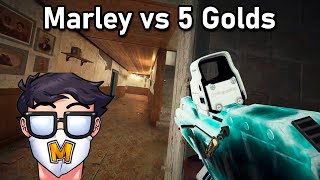 MeatyMarley vs 5 Strongest Golds in Rainbow Six Siege [upl. by Pirri]