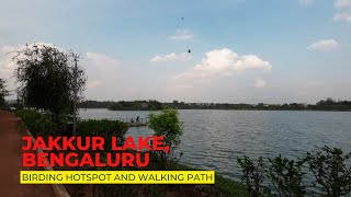 Jakkur Lake Jakkur Kere Bengaluru  A birding hotspot and walking path [upl. by Riva615]