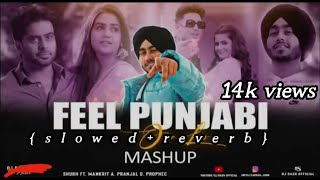 One Love  Feel Punjabi MashupFt Shubh  Mankirt Aulak One Love X Koka  lofi song slowed Reverb [upl. by Ostler]