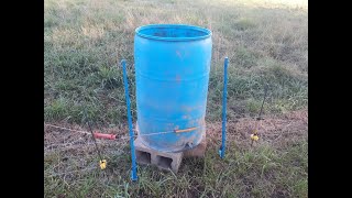 Pig Gravity Waterer  Pigs on Pasture [upl. by Petra904]