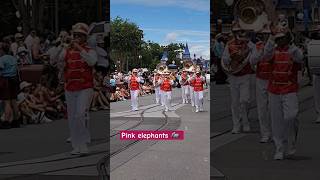 Pink Elephants on parade 🐘 💖🥁 Magic Kingdom ✨️ [upl. by Isman]