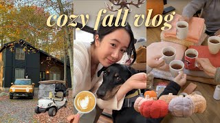 Cozy Fall Vlog 🍁 Slow Living Autumn Hiking Pumpkin Carving Fall Baking amp Fall Crafts [upl. by O'Malley]