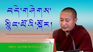 བདེ་གཤེགས་སྙིང་པོའི་སྐོར། སློབ་དཔོན་ཡེ་ཤེས་བྱང་ཆུབ། BuddhaNature  Lopon Yeshe Jangchub [upl. by Wiener945]