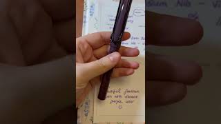 Lamy Safari Special Edition 2024 Violet Blackberry 💜lamy lamysafari pen fountainpen [upl. by Aynotan]