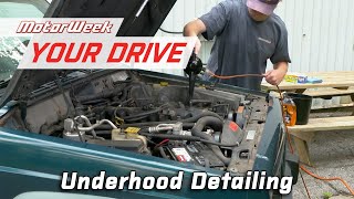 How to Clean Under Your Cars Hood  MotorWeek Your Drive [upl. by Salamone]