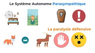 10 Le trouble fonctionnel  Le Système nerveux autonome parasympathique [upl. by Oba]