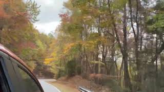 Russell Bypass to Brasstown Bald  October 27th 2024 [upl. by Heyward]