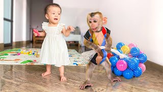 Fun Moments with Baby Monkey and Kid Playing Colorful Ball Games [upl. by Khan]