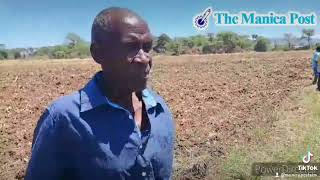 Mushandike B Irrigation Scheme eyes increased productivity [upl. by Anitnuahs138]