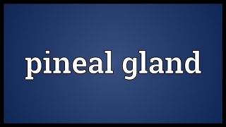 Pineal gland Meaning [upl. by Genovera]