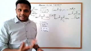 Malonic Ester Synthesis [upl. by Acyre]