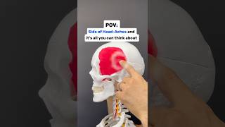 Side of headaches amp breaking your concentration headache headacherelief tmj anatomy migraine [upl. by Iene]